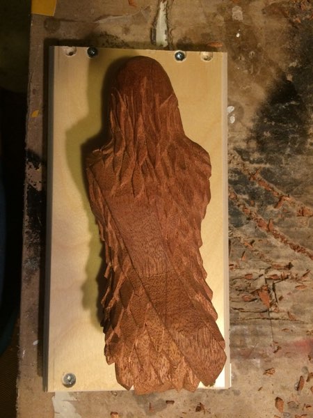 Chewie, photo 10 of 298