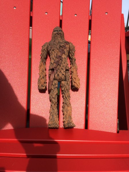 Chewie, photo 214 of 298