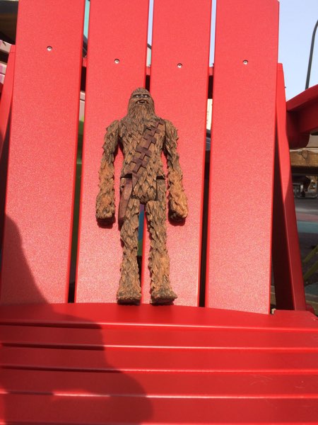 Chewie, photo 215 of 298