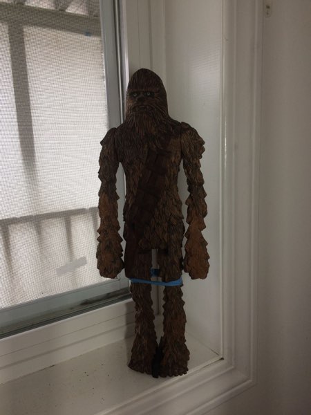 Chewie, photo 221 of 298