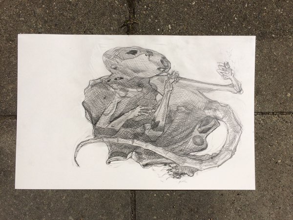 Drawings, photo 38 of 222