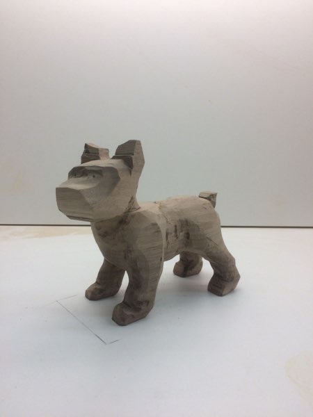 Joey Bouvier dog, photo 14 of 49