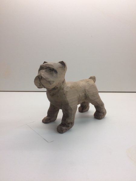 Joey Bouvier dog, photo 17 of 49