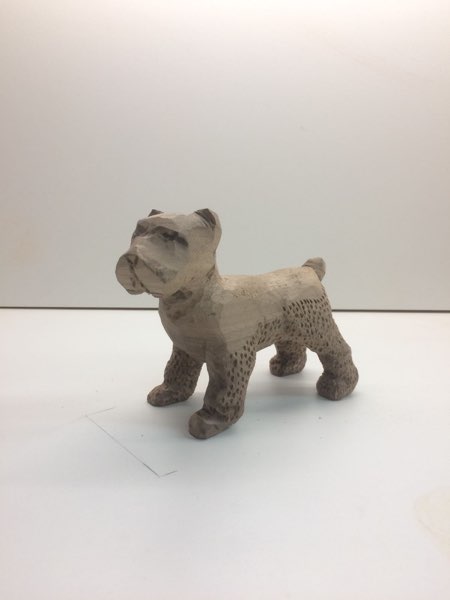 Joey Bouvier dog, photo 18 of 49