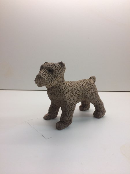 Joey Bouvier dog, photo 20 of 49
