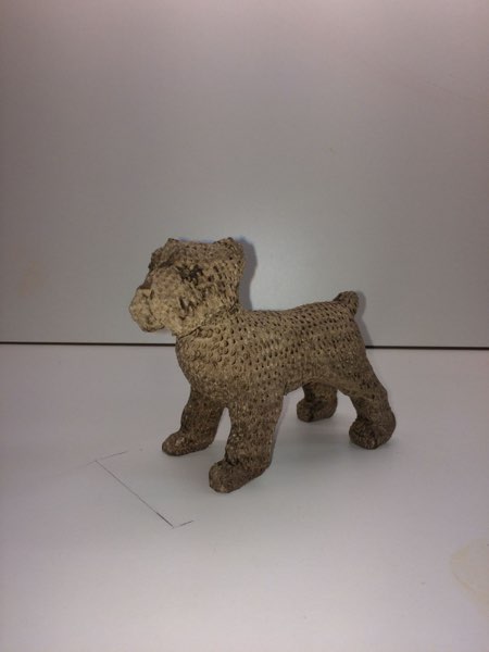 Joey Bouvier dog, photo 21 of 49
