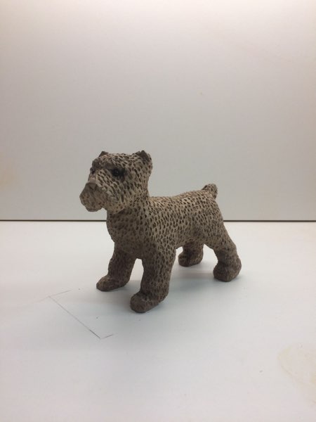 Joey Bouvier dog, photo 22 of 49