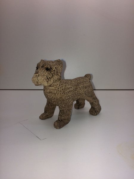 Joey Bouvier dog, photo 23 of 49