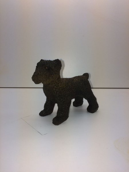 Joey Bouvier dog, photo 26 of 49