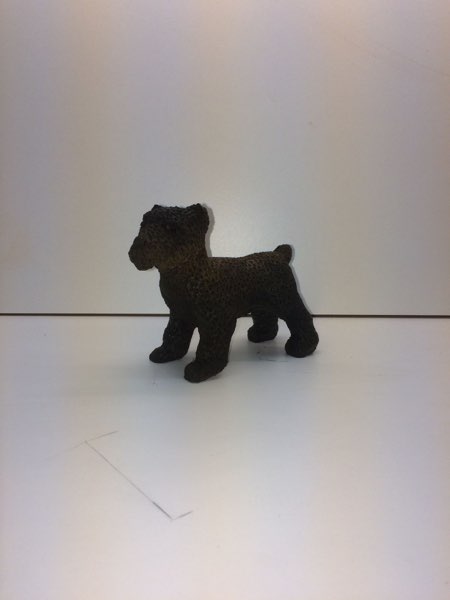 Joey Bouvier dog, photo 27 of 49