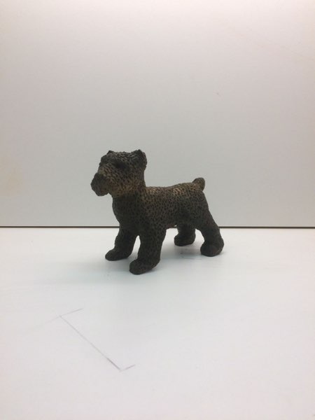 Joey Bouvier dog, photo 28 of 49