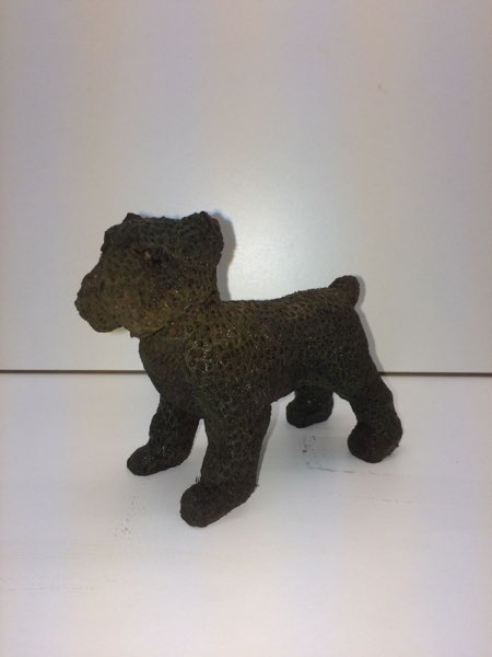 Joey Bouvier dog, photo 30 of 49