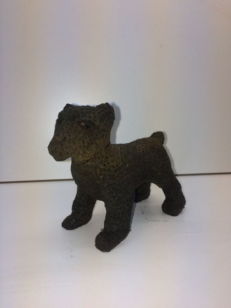 Joey Bouvier dog, photo 31 of 49