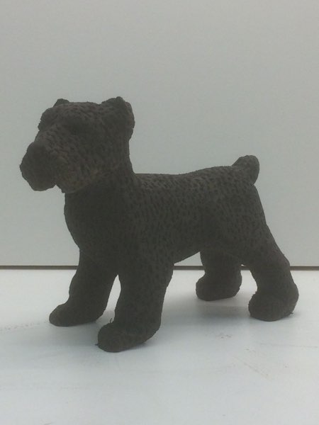 Joey Bouvier dog, photo 32 of 49