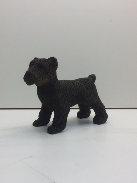 Joey Bouvier dog, photo 33 of 49