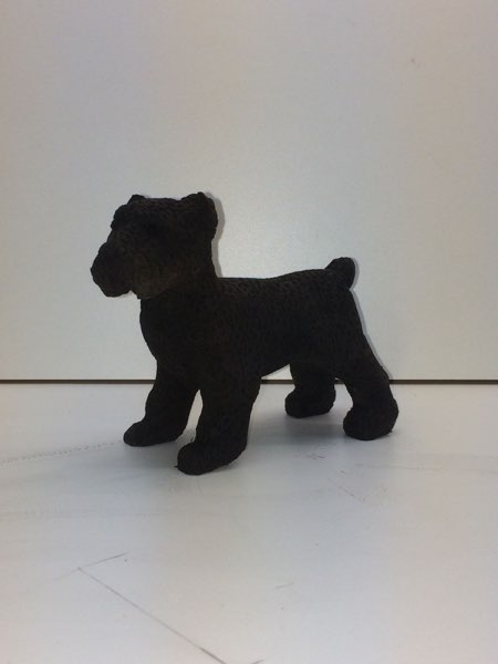 Joey Bouvier dog, photo 34 of 49