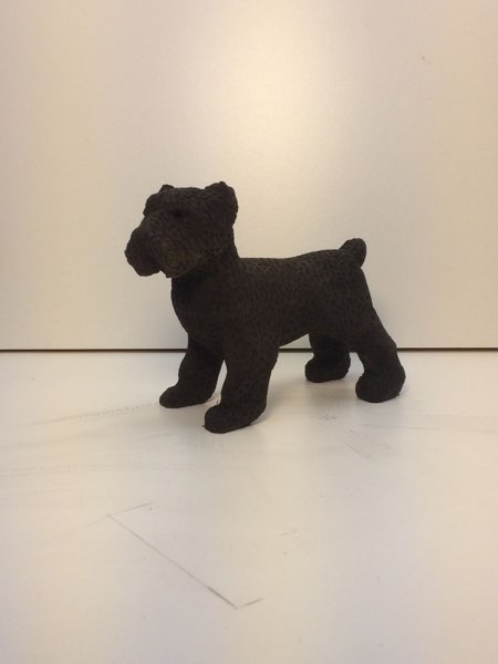 Joey Bouvier dog, photo 36 of 49