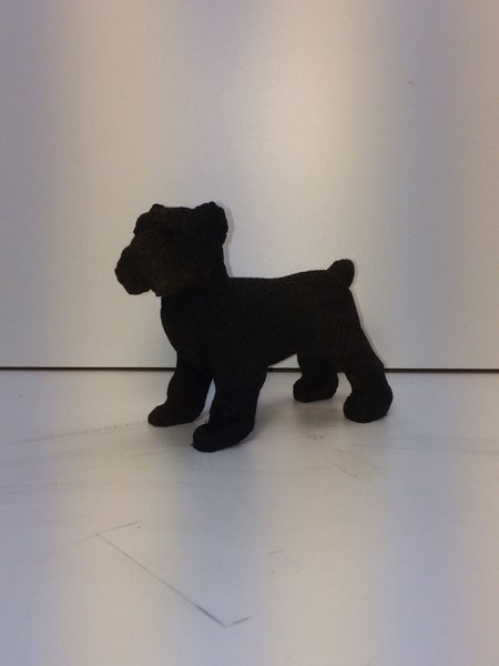 Joey Bouvier dog, photo 37 of 49