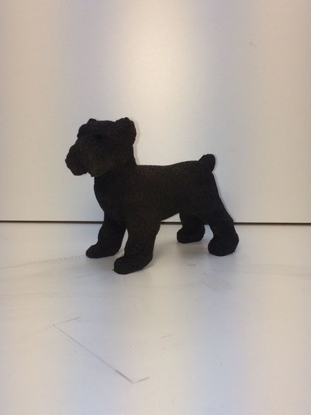Joey Bouvier dog, photo 38 of 49