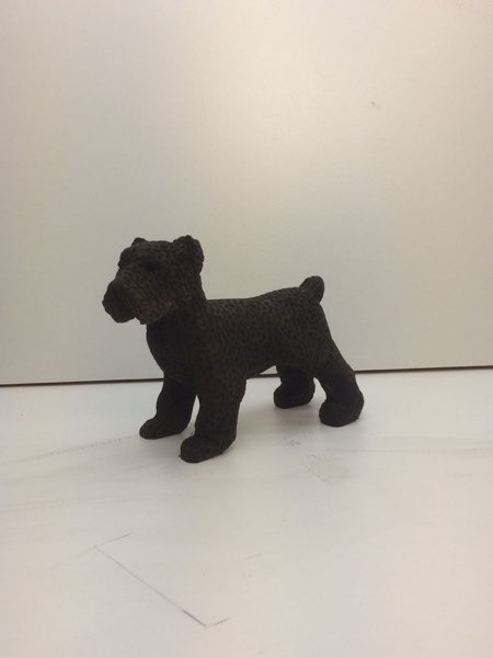 Joey Bouvier dog, photo 39 of 49