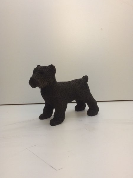Joey Bouvier dog, photo 41 of 49