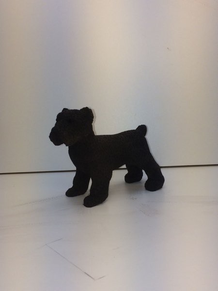 Joey Bouvier dog, photo 42 of 49