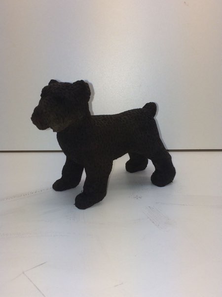 Joey Bouvier dog, photo 43 of 49