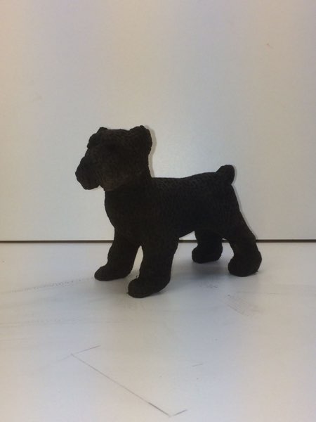 Joey Bouvier dog, photo 44 of 49