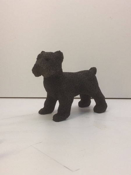 Joey Bouvier dog, photo 45 of 49
