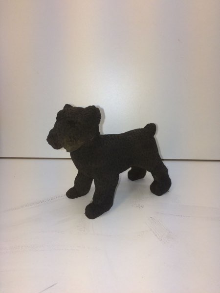 Joey Bouvier dog, photo 46 of 49