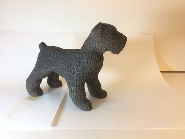 Joey Bouvier dog, photo 47 of 49