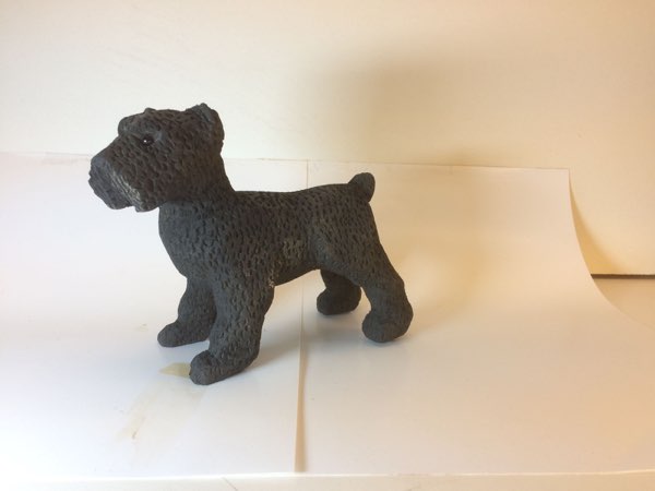 Joey Bouvier dog, photo 48 of 49