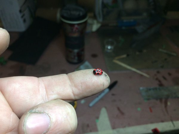 Reaperbots, photo 59 of 81