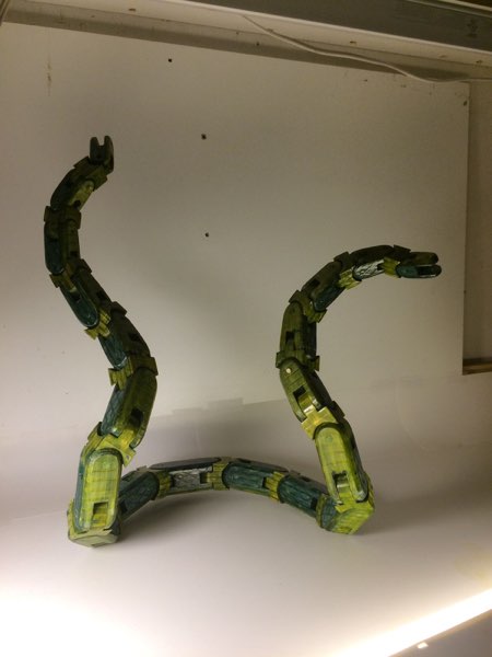 Snakie, photo 92 of 120