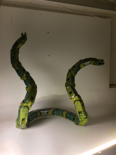 Snakie, photo 93 of 120