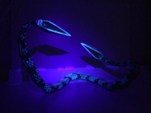 Snakie, photo 111 of 120